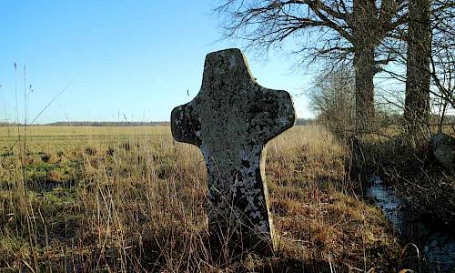 Foto: Stefan Svenaeus 2019