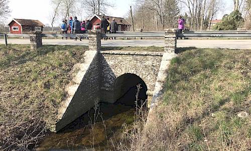 Foto: Stefan Svenaeus 2019