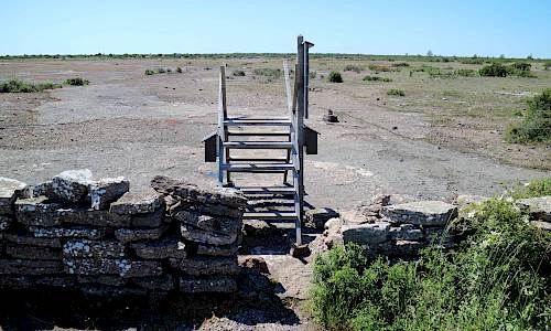 Foto: Stefan Svenaeus 2019