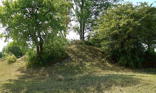 Foto: Stefan Svenaeus 2019