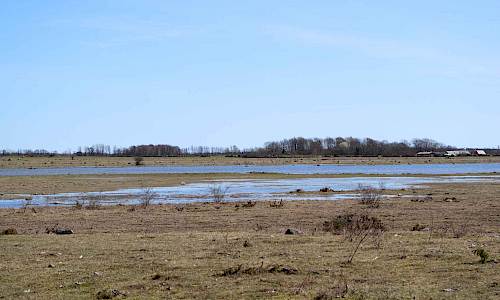 Foto: Stefan Svenaeus 2018