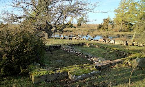 Foto: Stefan Svenaeus 2020