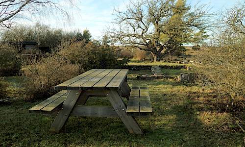Foto: Stefan Svenaeus 2020