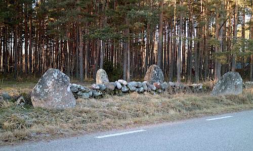 Foto: Stefan Svenaeus 2019