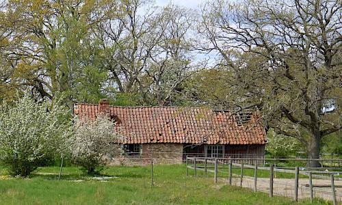 Foto: Stefan Svenaeus 2020