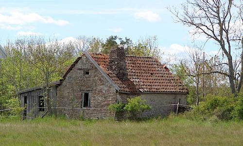 Foto: Stefan Svenaeus 2020