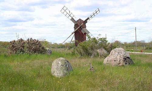 Foto: Stefan Svenaeus 2020