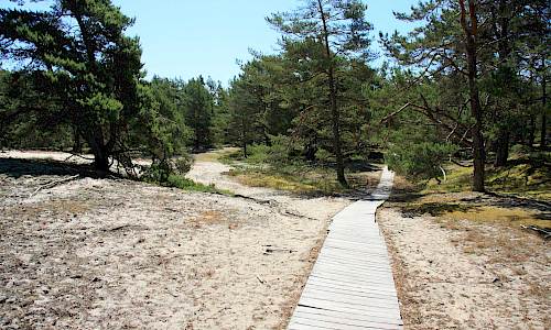 Foto: Stefan Svenaeus 2014