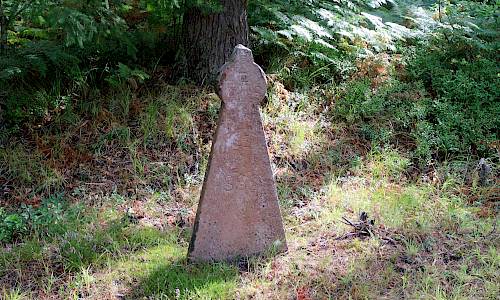 Foto: Stefan Svenaeus 2020