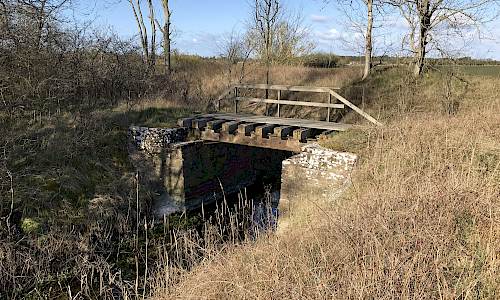 Foto: Stefan Svenaeus 2020