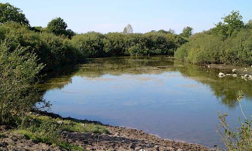 Grävd damm Foto: Stefan Svenaeus 2020