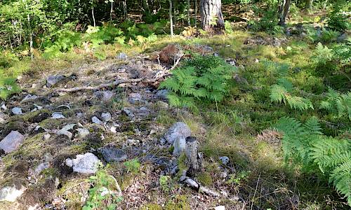 Husgrund Böda 25:2Foto: Stefan Svenaeus 2020