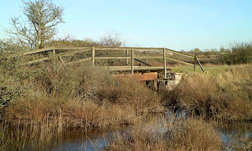 Foto: Stefan Svenaeus 2020