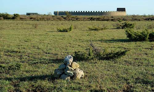 Foto: Stefan Svenaeus 2020