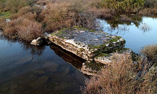 Foto: Stefan Svenaeus 2020