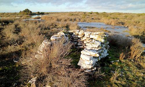 Foto: Stefan Svenaeus 2020