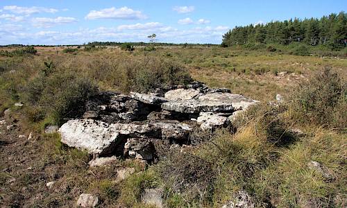 Foto: Stefan Svenaeus 2015