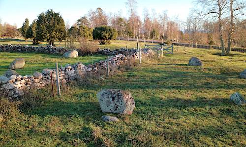 Foto: Stefan Svenaeus 2020
