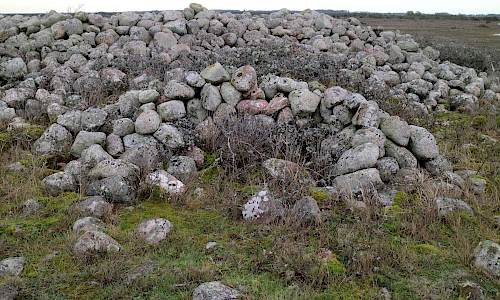 Foto: Stefan Svenaeus 2021