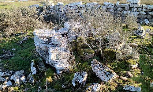 Foto: Stefan Svenaeus 2020