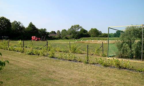 Foto: Stefan Svenaeus 2020