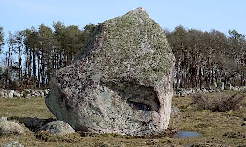 Foto: Stefan Svenaeus 2021