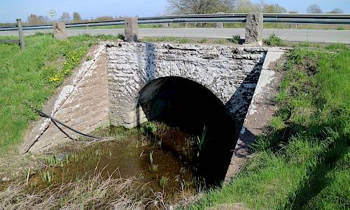 Foto: Stefan Svenaeus 2018