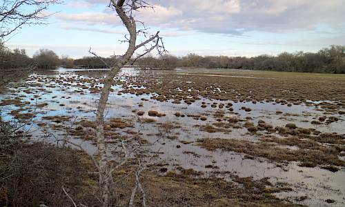 Foto: Stefan Svenaeus mars 2021