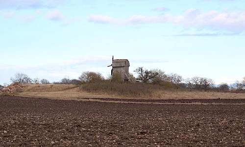 Foto: Stefan Svenaeus 2021