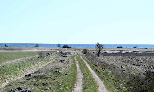 Stefan Svenaeus 2021