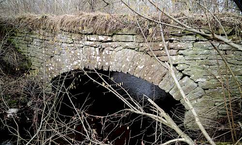 Foto: Stefan Svenaeus 2021