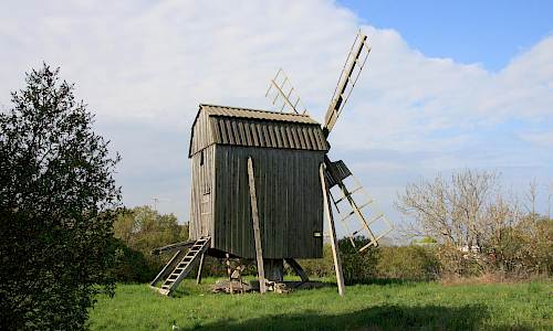 Foto: Stefan Svenaeus 2013