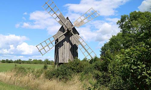 Foto: Stefan Svenaeus 2021