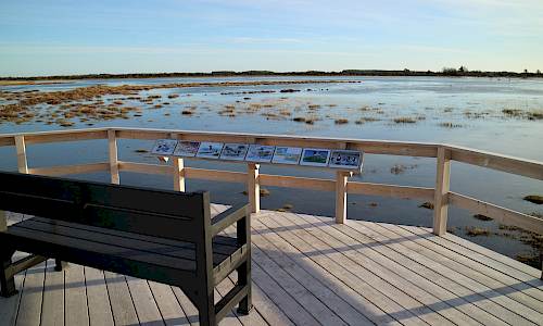 Foto: Stefan Svenaeus 2022