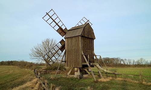 Foto: Stefan Svenaeus 2022