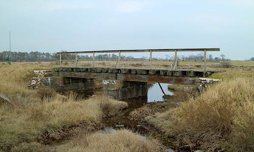 Foto: Stefan Svenaeus 2022