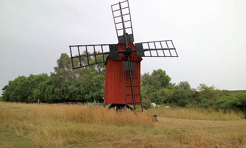 Foto: Stefan Svenaeus 2022