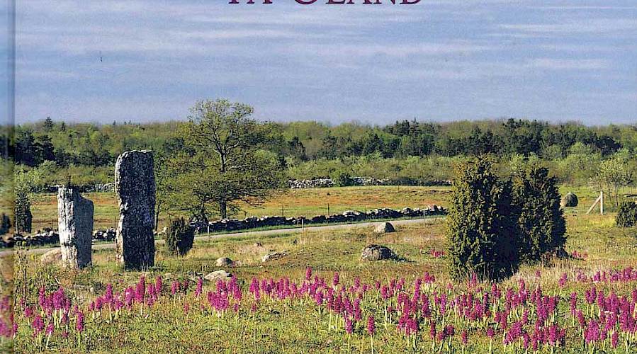 NATUR OCH KULTUR PÅ ÖLAND - Särskilt värdefulla naturmiljöer på norra Öland