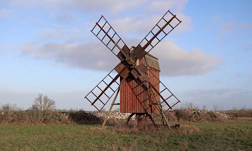 Foto: Stefan Svenaeus 2023