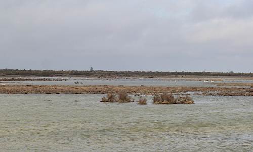 Foto: Stefan Svenaeus mars 2023