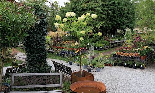 Foto: Stefan Svenaeus 2023