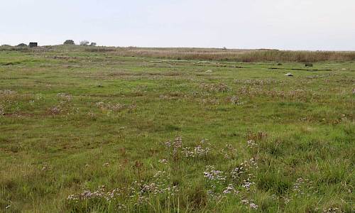 Foto: Stefan Svenaeus 2023