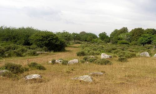 Foto: Stefan Svenaeus 2006