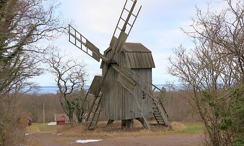 Foto: Stefan Svenaeus 2024