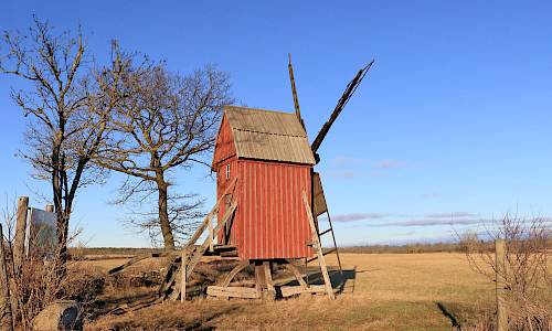 Foto: Stefan Svenaeus 2024