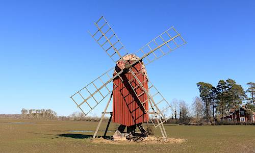Foto: Stefan Svenaeus 2024