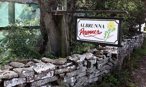 Foto: Stefan Svenaeus 2023