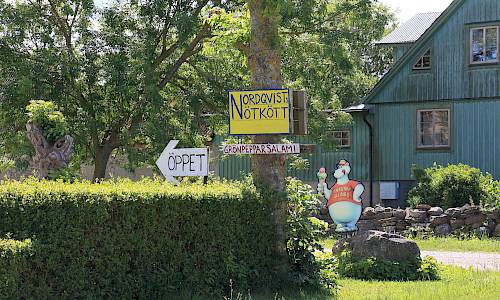 Foto: Stefan Svenaeus 2024