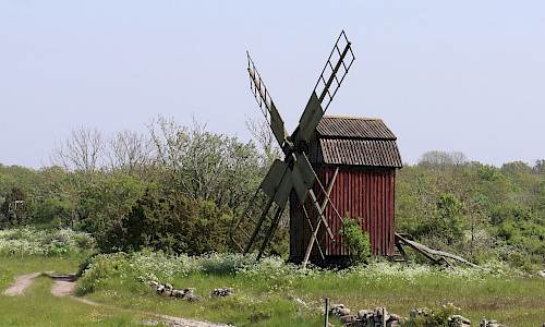 Foto: Stefan Svenaeus 2024