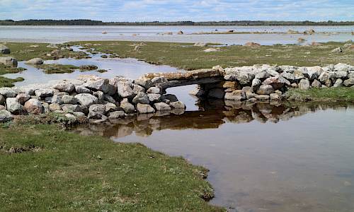 Foto: Stefan Svenaeus 2020